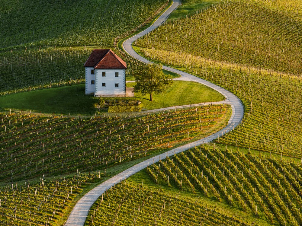 Zlati grič