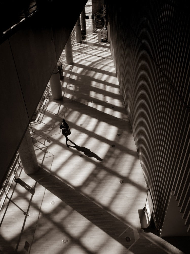 lost way in shadows.