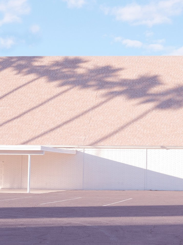 Las Vegas Chapel Palm Shadows