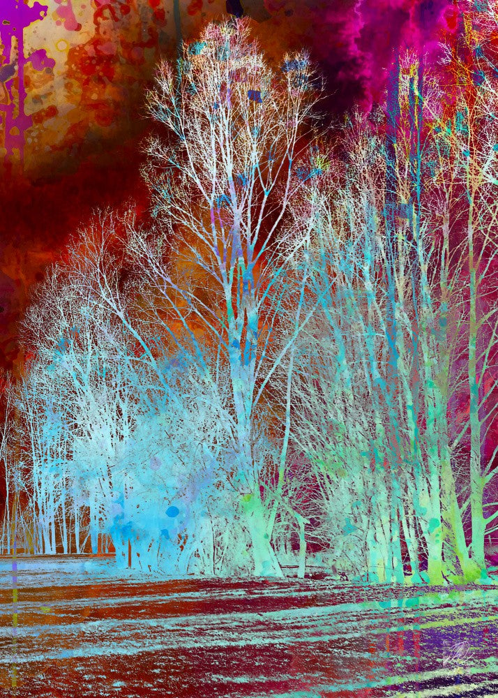Forestwarm