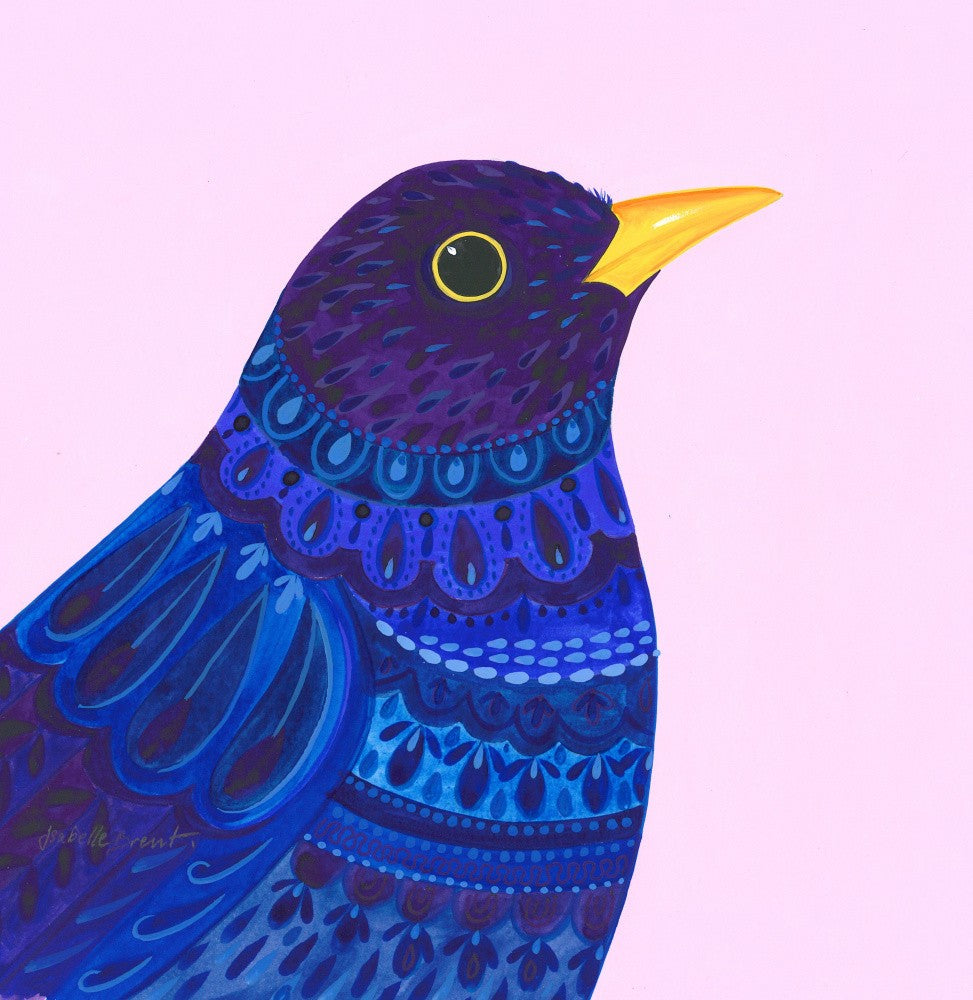 Vibrant Feathered Jewel
