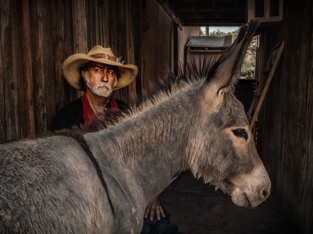 Mule Crossing