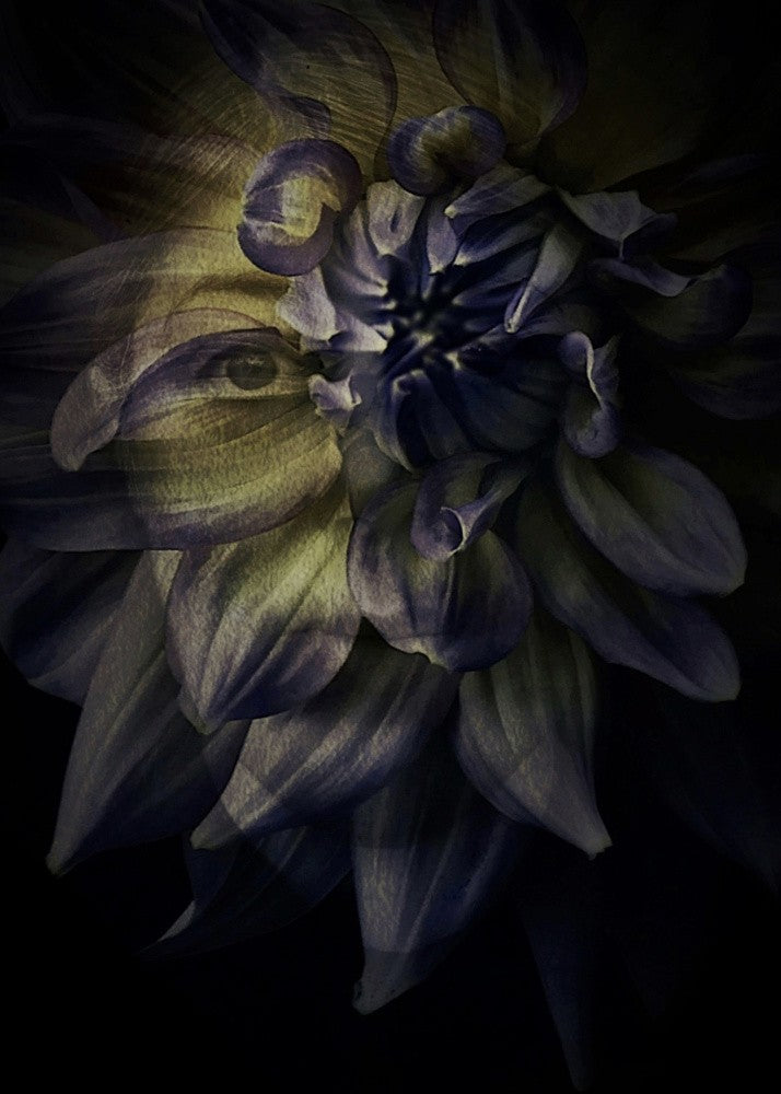Flowery II
