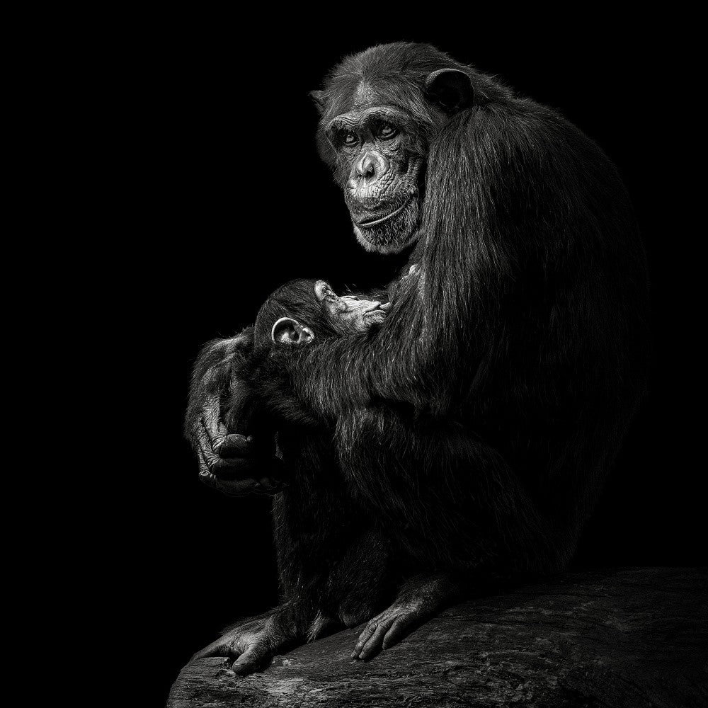 Motherly Love #2