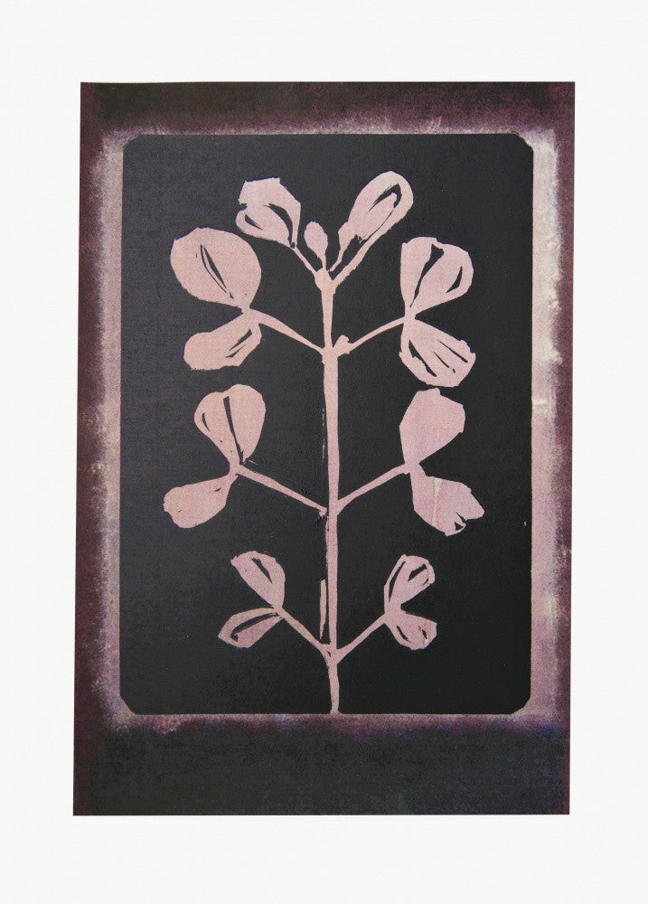 Poetic Botanicals