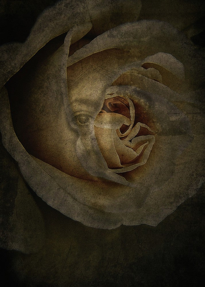 Rebirth