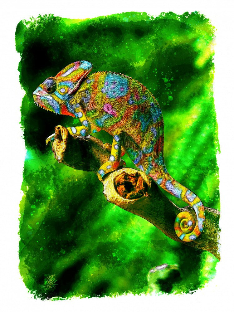 Camaleon I