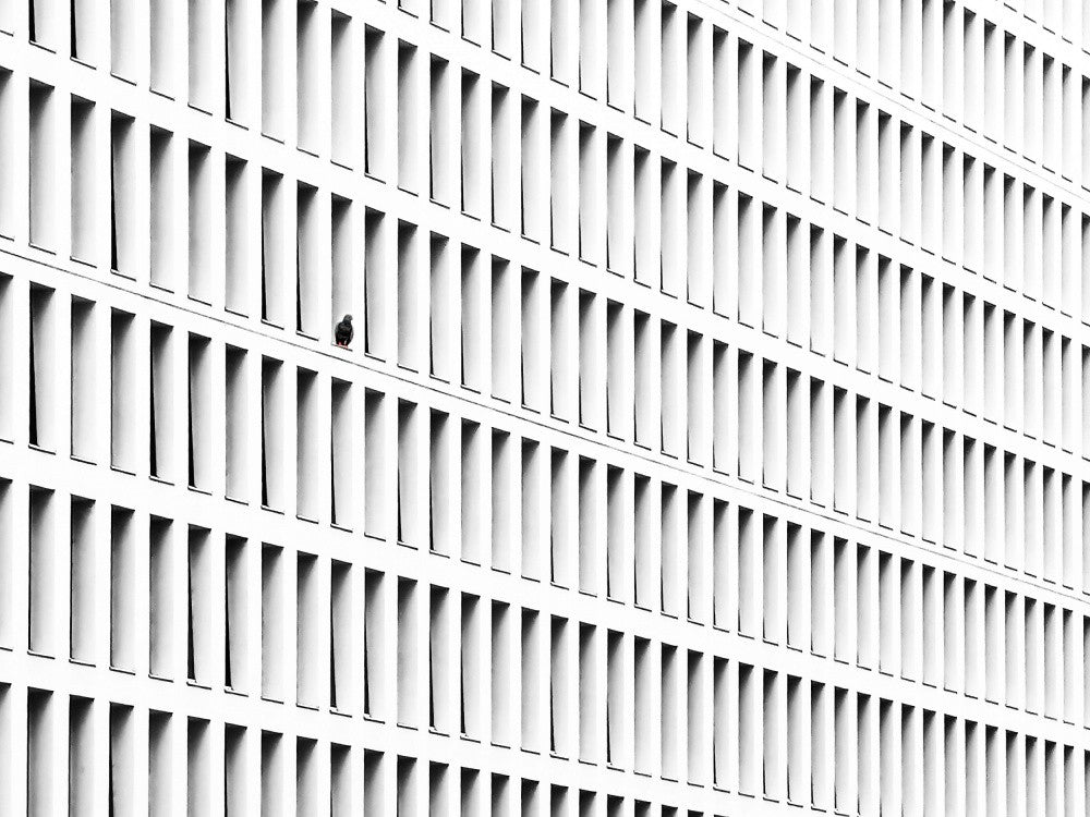 Pigeon-holed