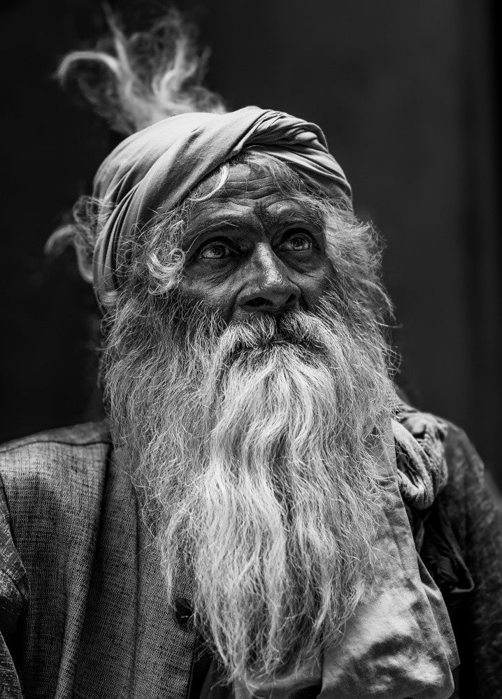 Yogi