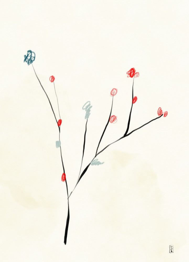 Augustblume