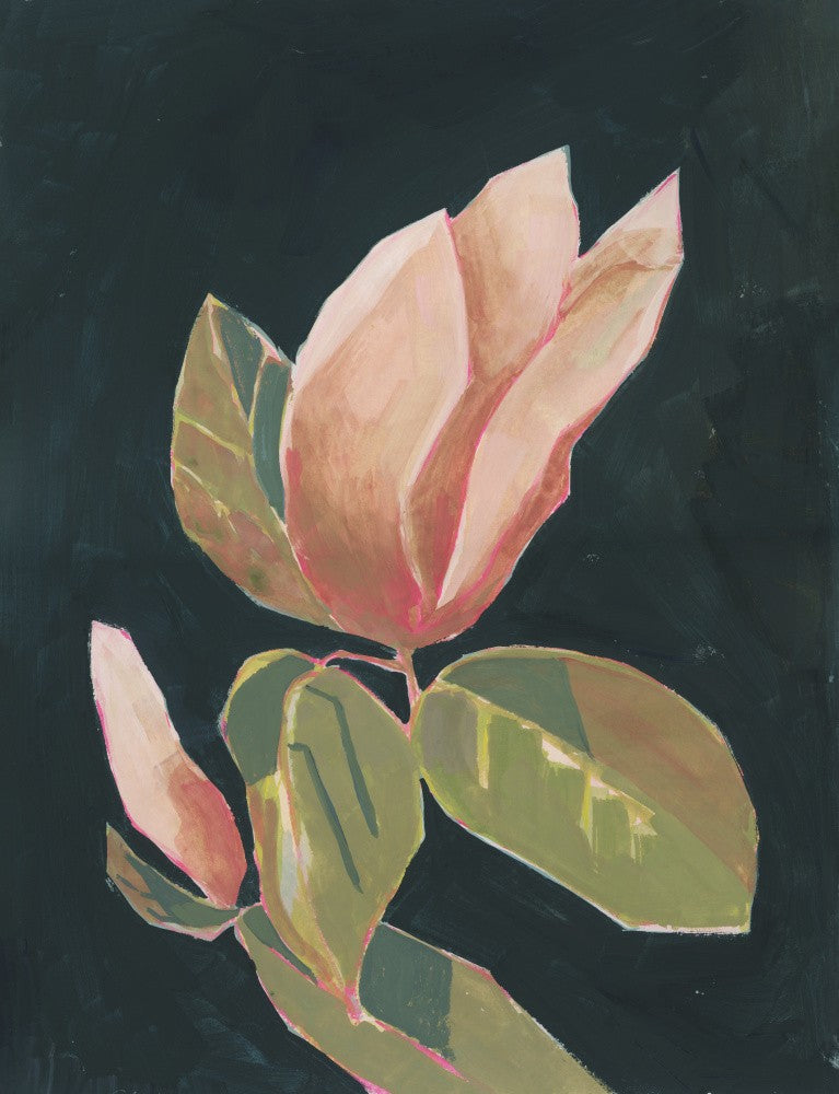 Magnolia in dark background