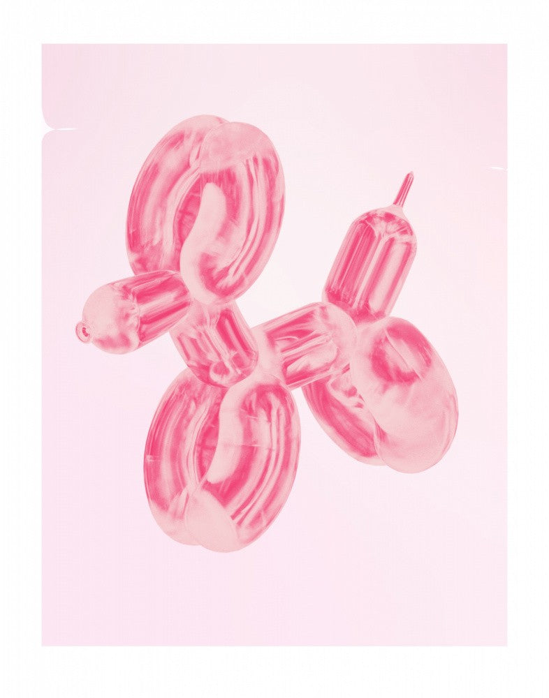 Balloon Dog