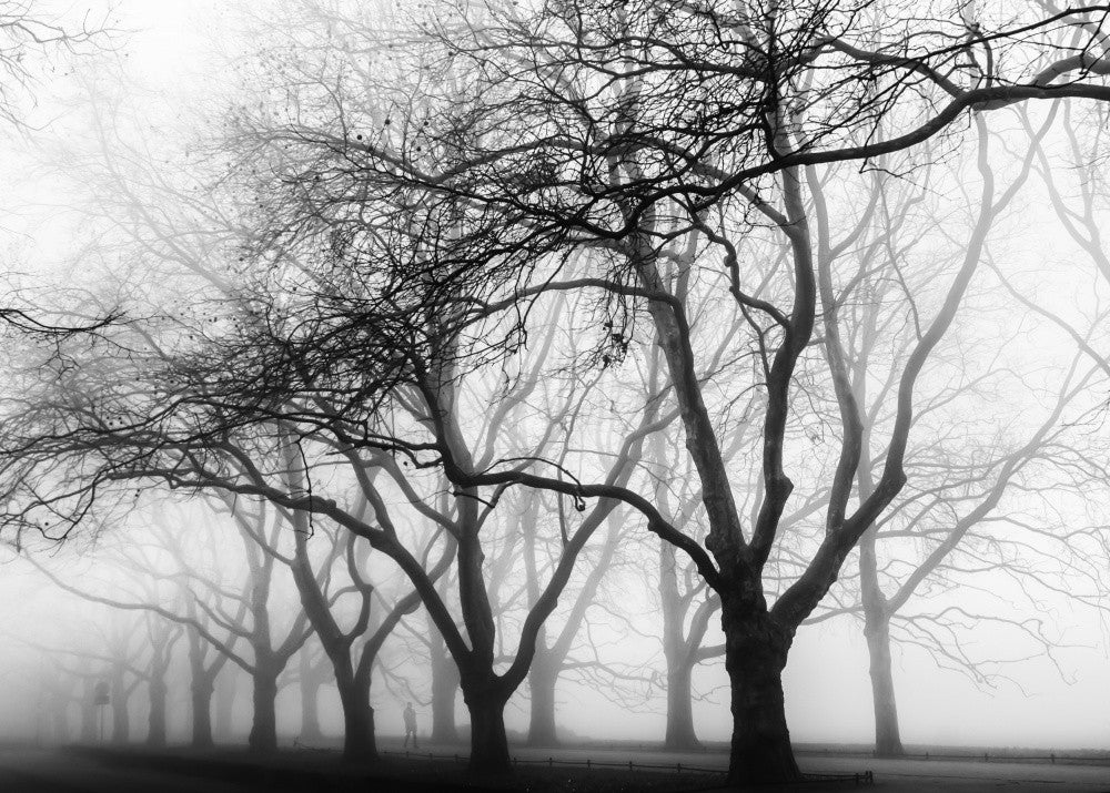 mysterious road