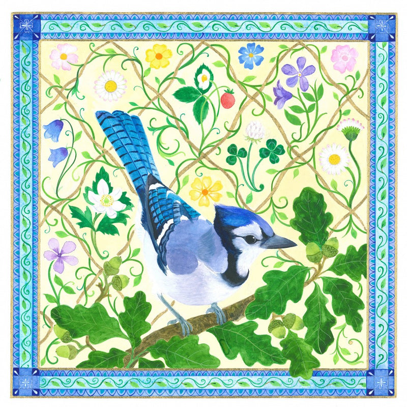 Blue Jay