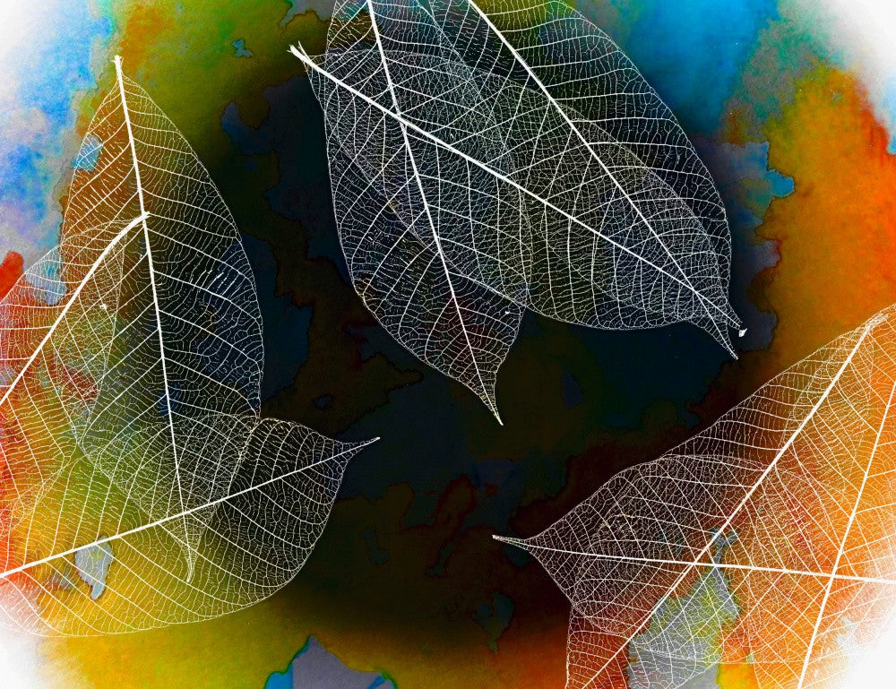 Abstractions in nature .