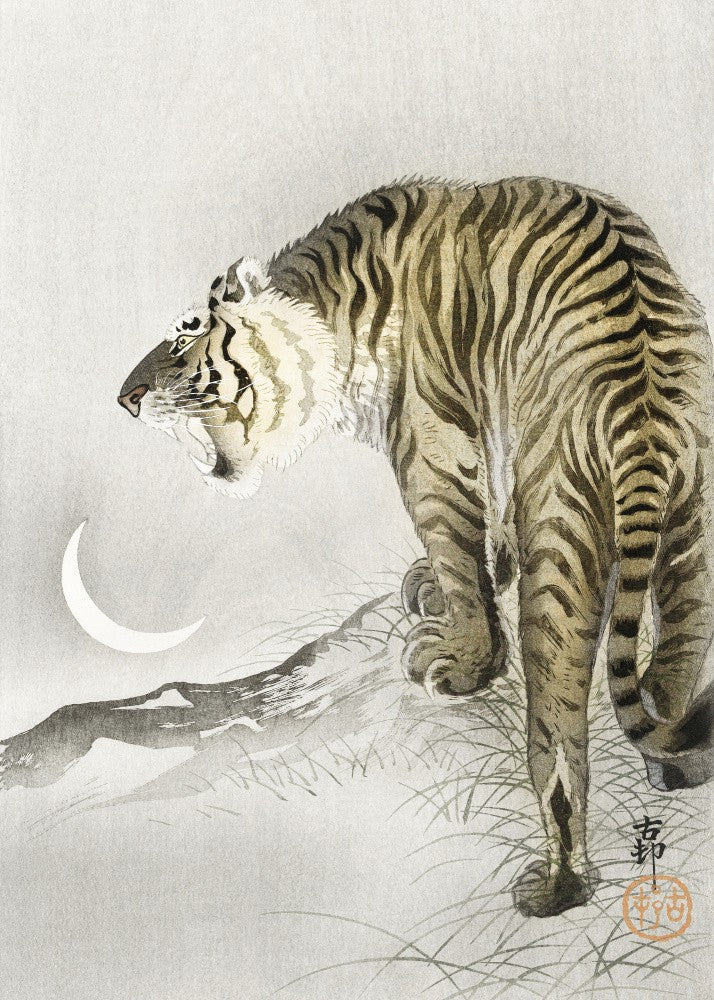 Roaring Tiger