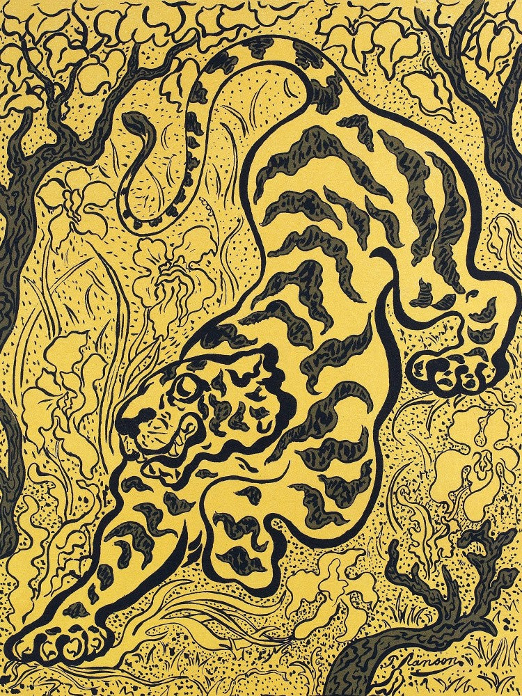 Tigre Dans Les Jungles