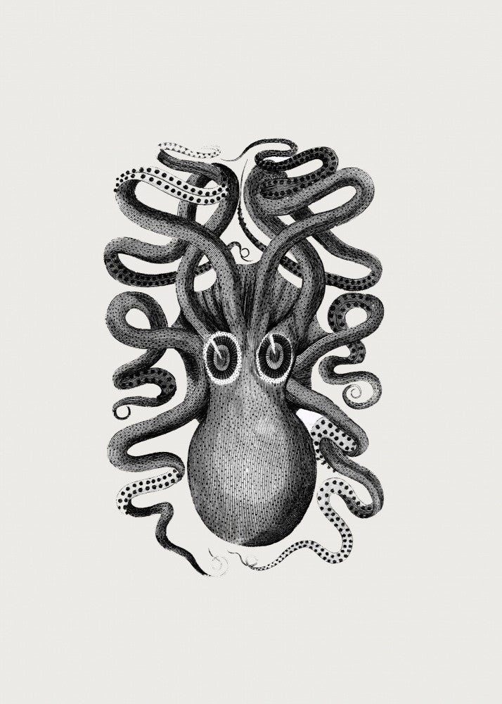 Eight Armed Cuttlefish