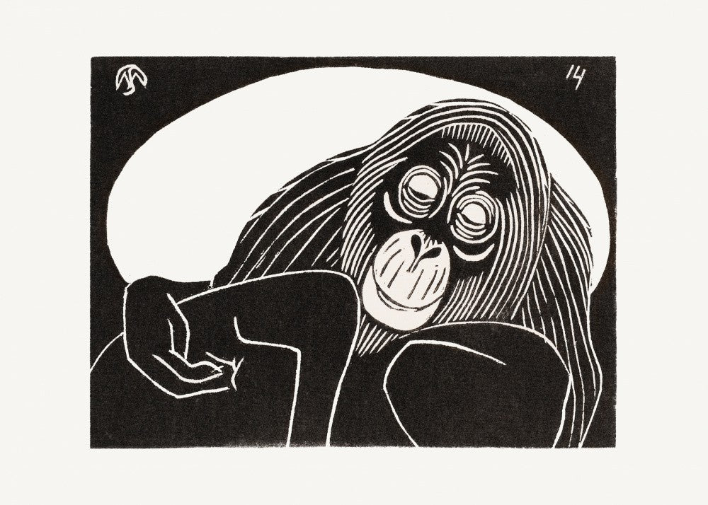Orangutan