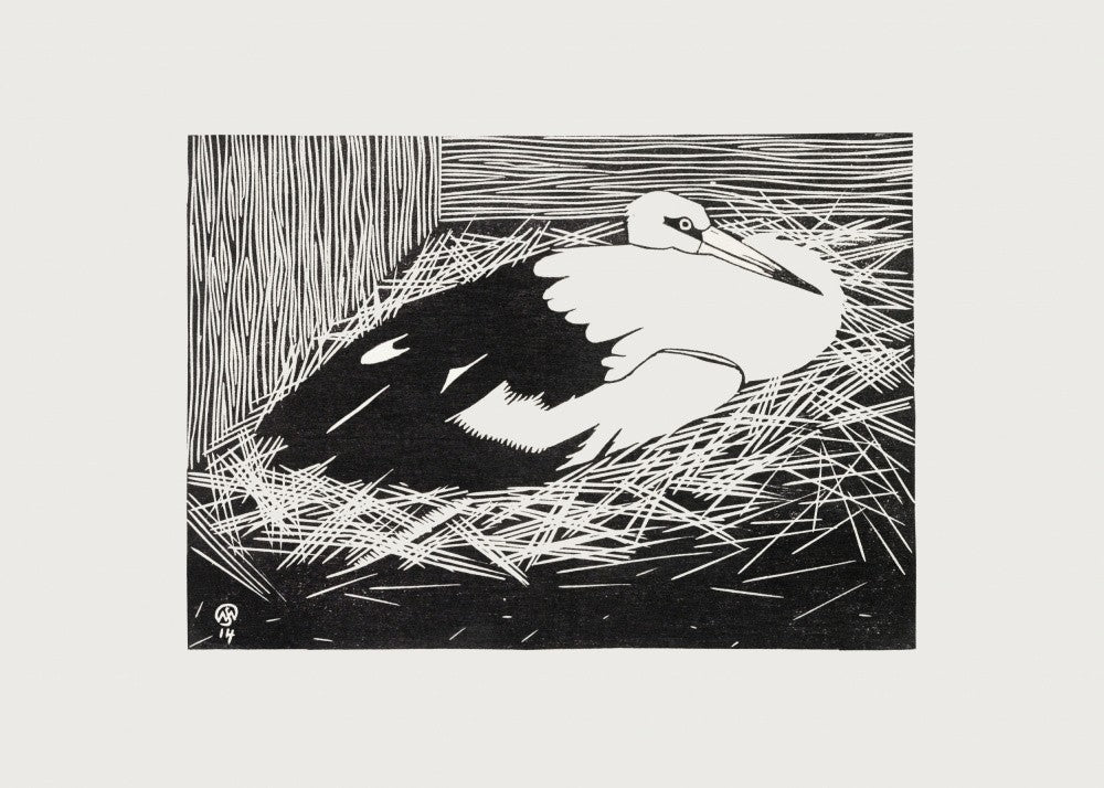 White Maguar Stork