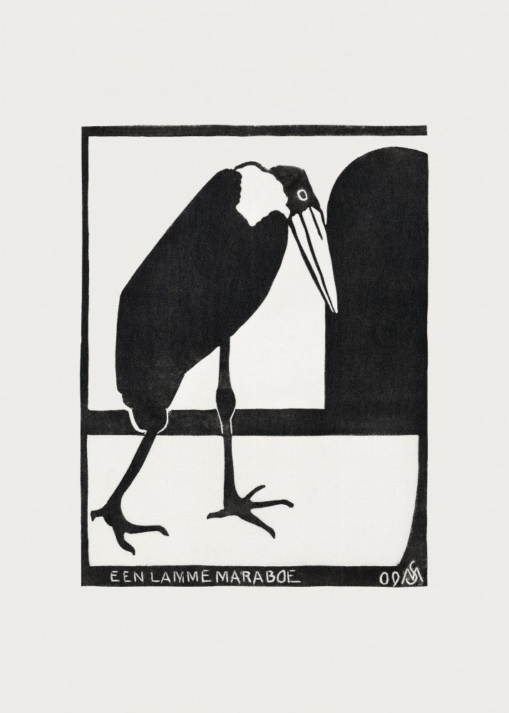 A Lame Marabou