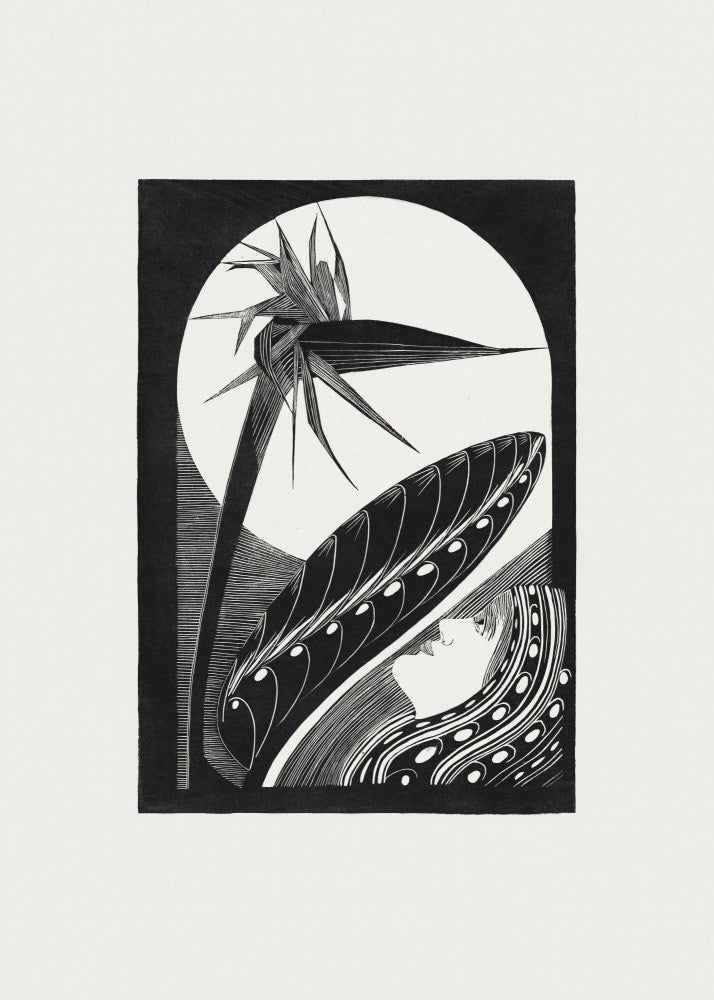 Strelitzia Overblown