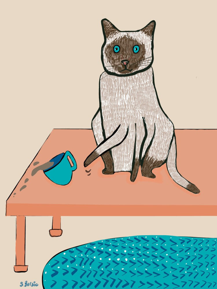 Naughty cat humour
