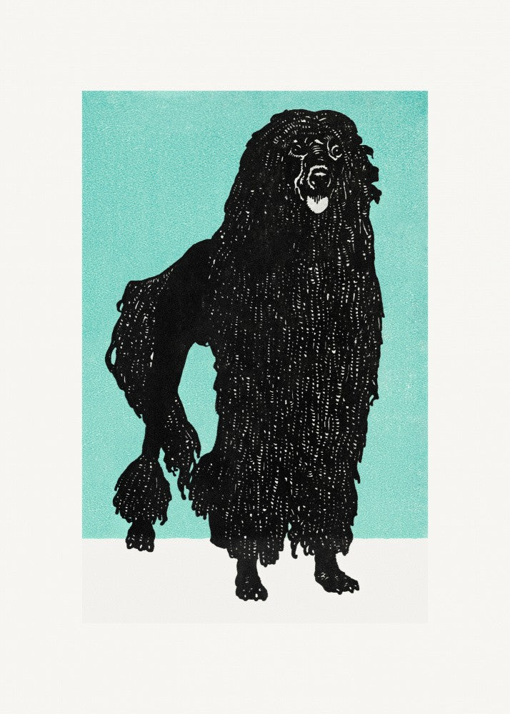 Poodle