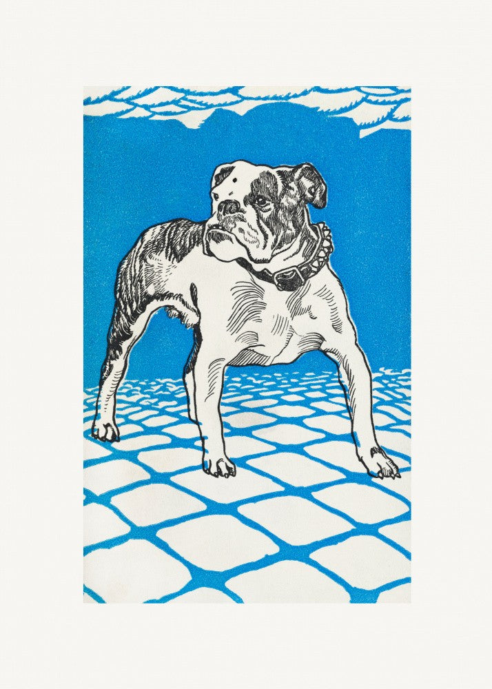 Bulldog