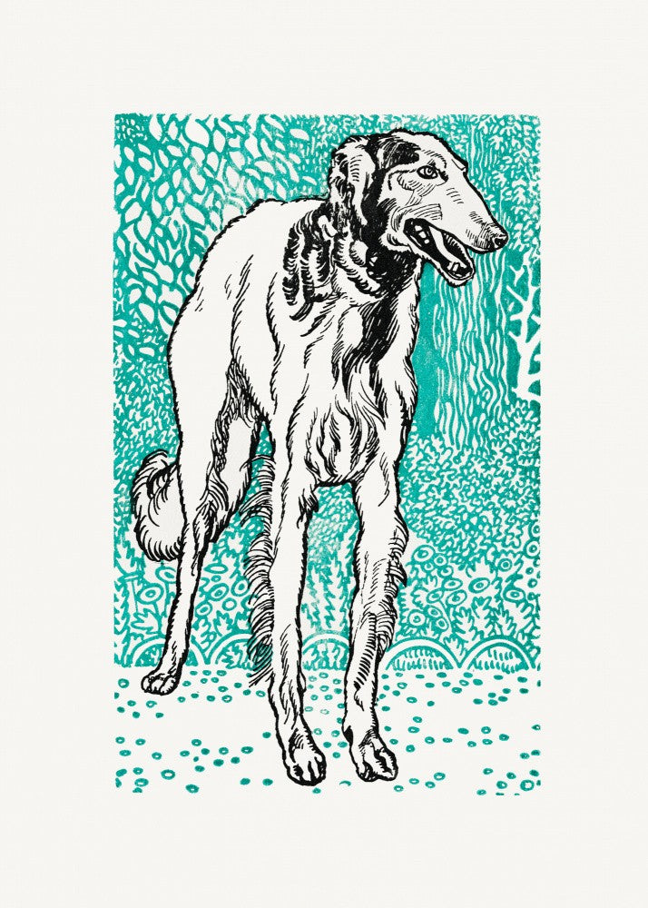 Greyhound