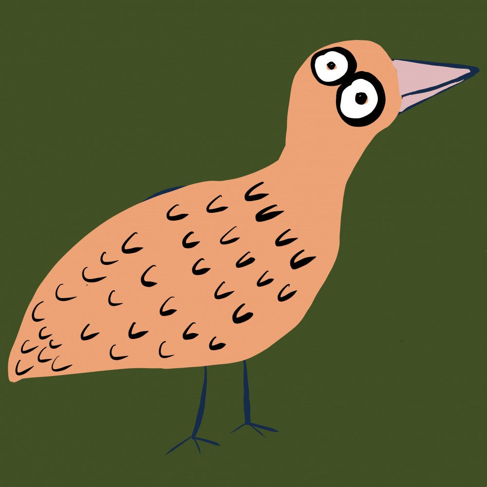 Bird