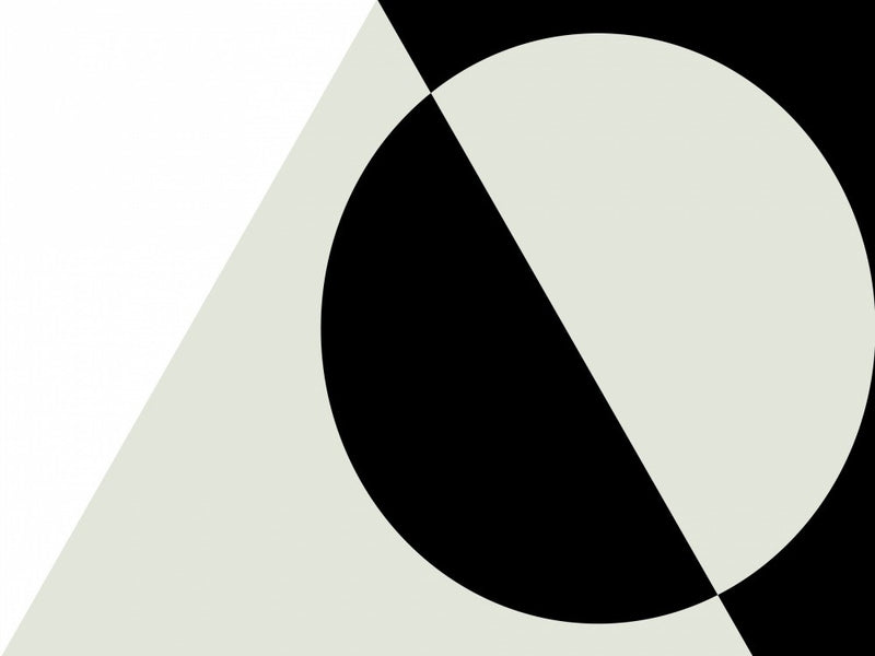 Black & White Geometric Abstract No 02