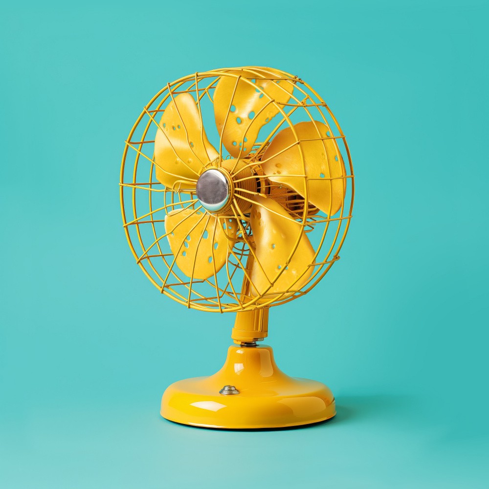 Cheese Fan