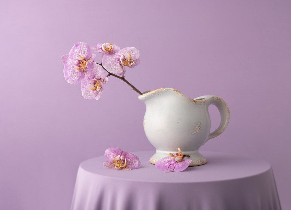 Pure Lilac