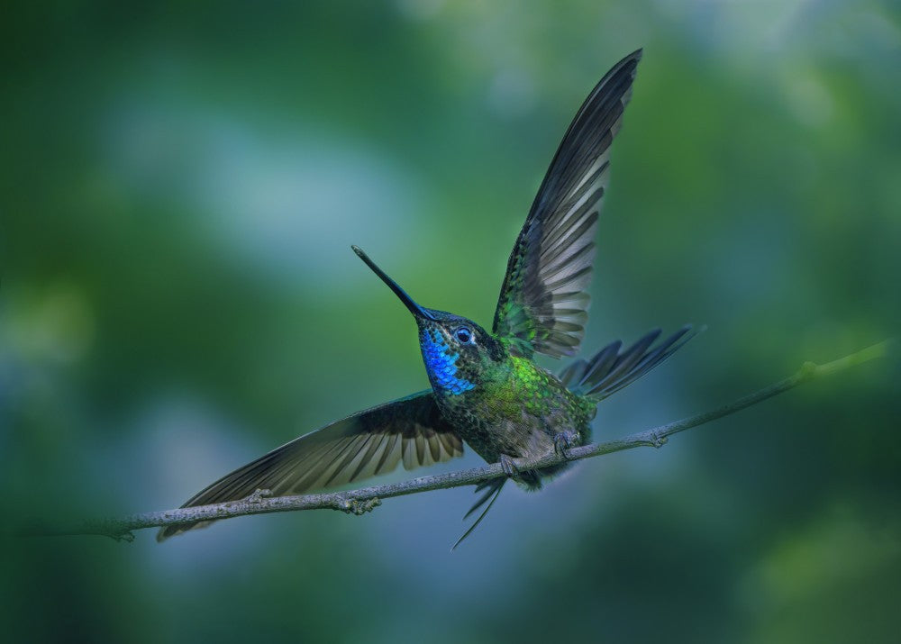 Take off