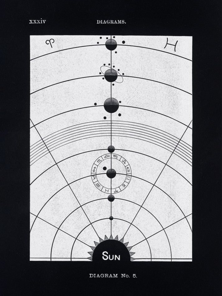 Solar Biology No. 5 Black (creative ed.)