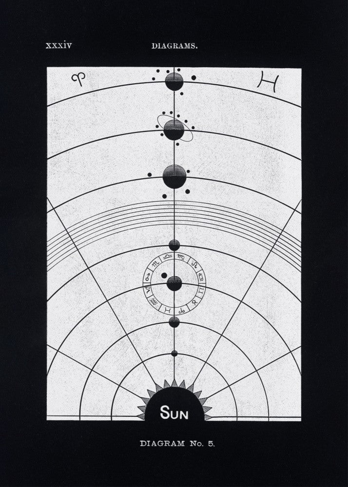 Solar Biology No. 5 Black (creative ed.)