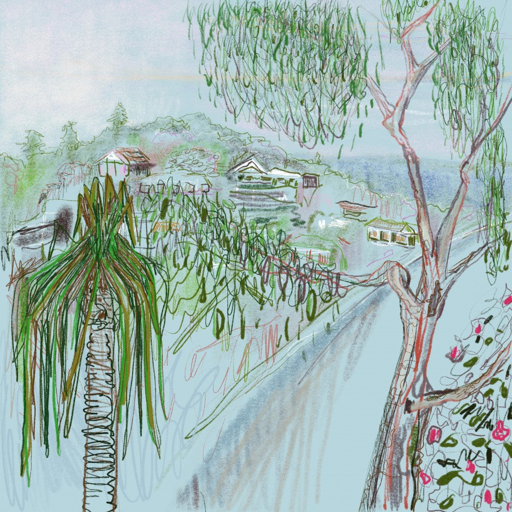 Window View