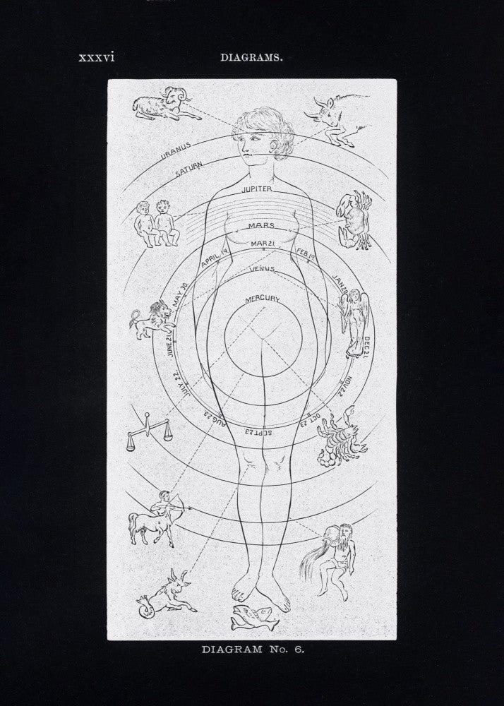 Solar Biology No. 6 Black (Creative ed)
