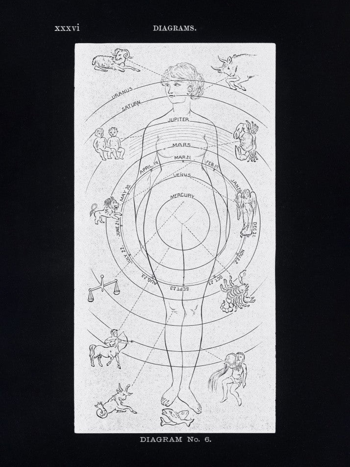 Solar Biology No. 6 Black (Creative ed)