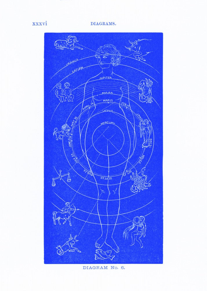 Solar Biology Nr. 6 blau (kreative Edition)