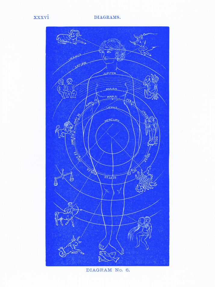 Solar Biology No. 6  blue (creative ed.)