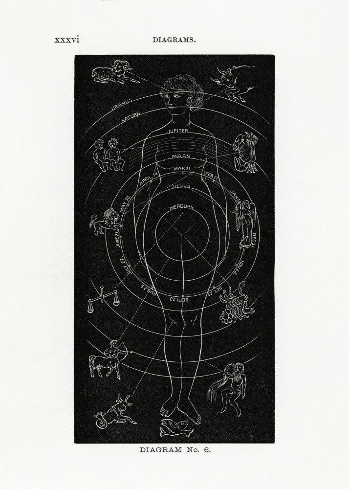 Solar Biology No. 6