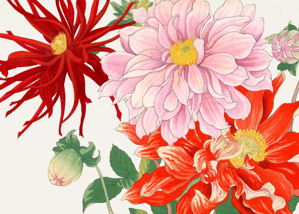 Dahlia Flower No.2