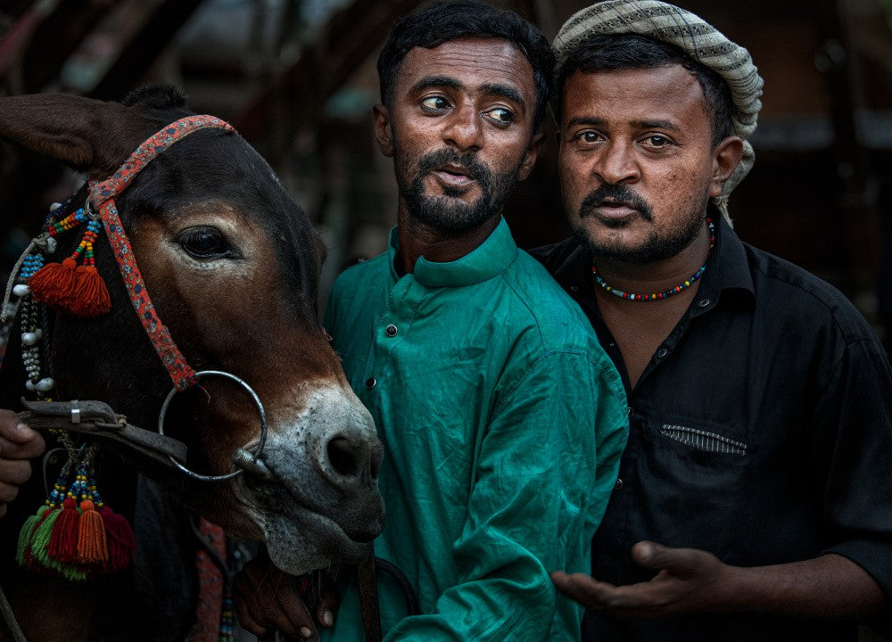 A photo with the donkey