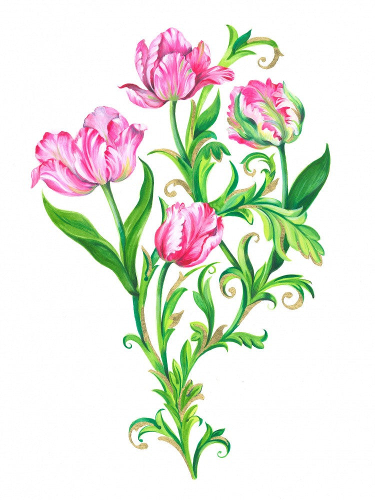 Four  Parrot Tulips