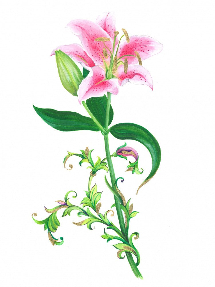pink lily