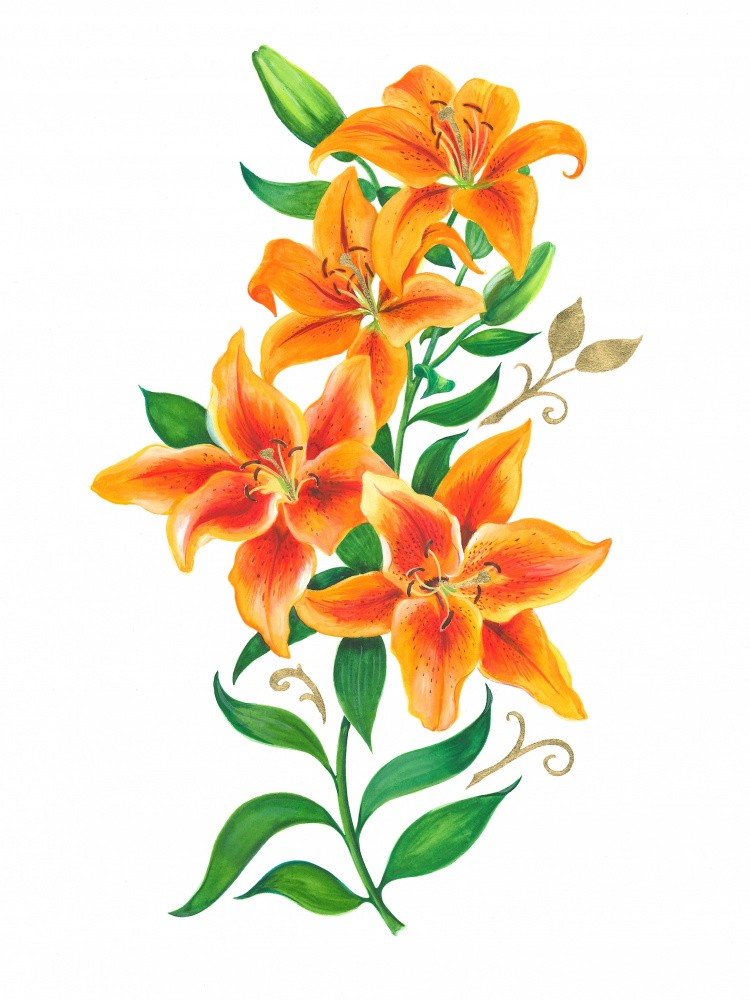 Lush Orange Lilies