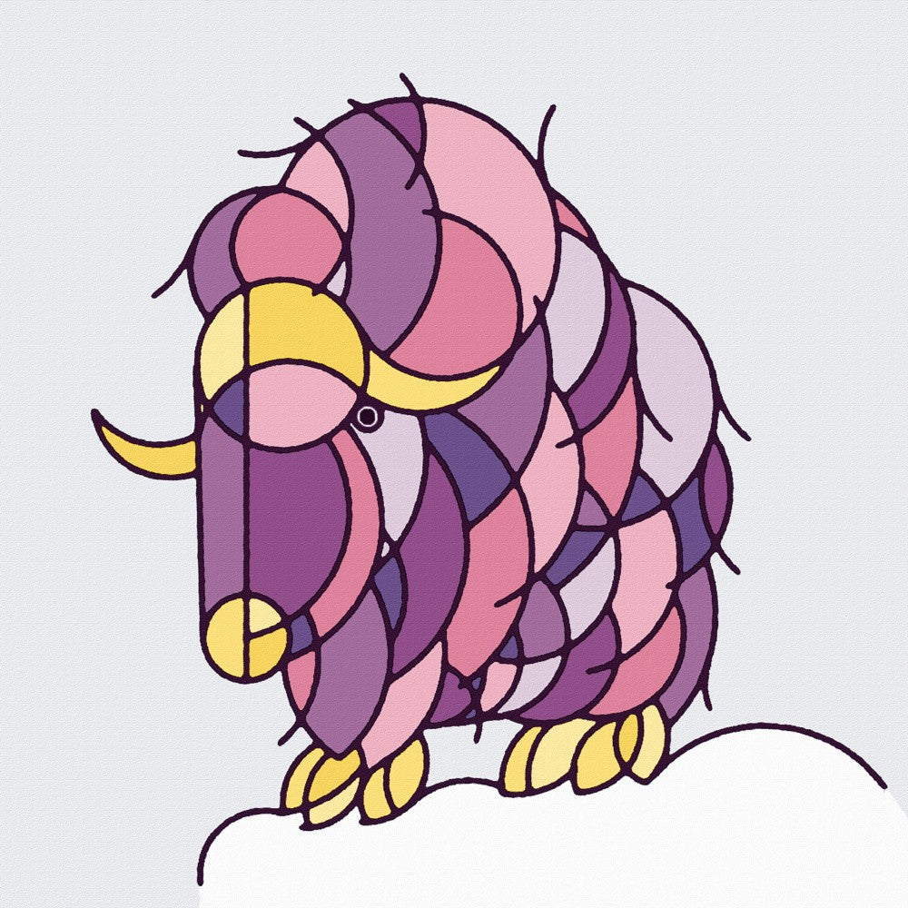 Muskox