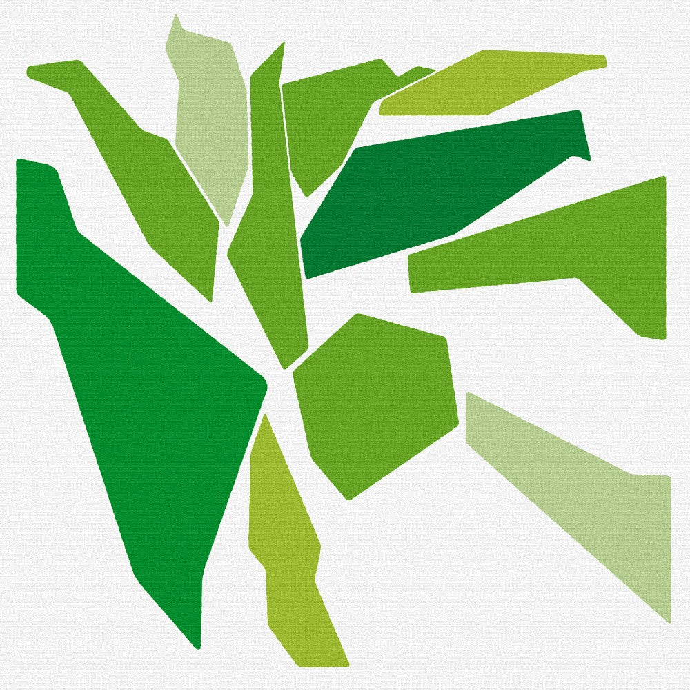 Spathiphyllum